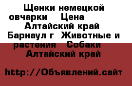 Щенки немецкой овчарки  › Цена ­ 3 000 - Алтайский край, Барнаул г. Животные и растения » Собаки   . Алтайский край